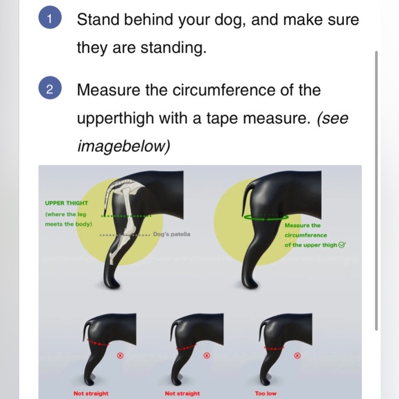 NEW Tailwind knee brace with cruciate support XXL - Picture 6 of 7